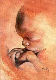 baby_in_the_womb_drawing